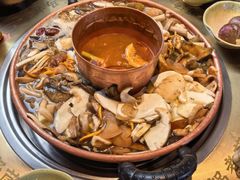 -菌自由丨野生菌火锅特色庭院餐厅(丽江古城店)