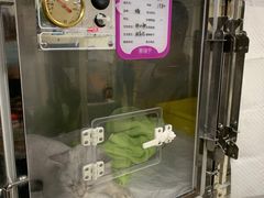 -美联众合动物医院·24h转诊中心