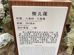 -东山雕花楼