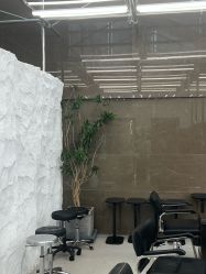 -BOF HAIR BY HONTO