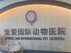-宠爱国际动物医院·消化内科·心肾内科·ISFM猫友好(望京店)