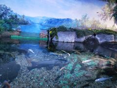 -常州海昌海洋探索馆