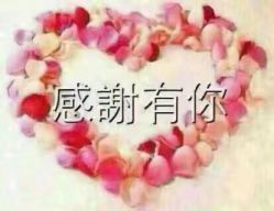 -斐尔国际皮肤管理中心