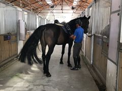 -松声马术俱乐部