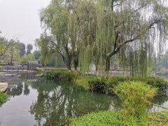 -成飞公园