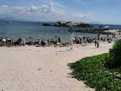 -三亚蜈支洲岛旅游区