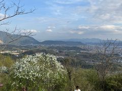 -天台山赤城山景区