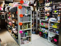 -北京观赏动物医院·24小时大型综合·猫专科·异宠专科