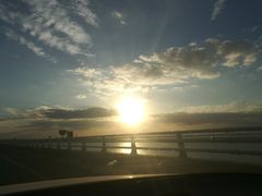 -崇明东平国家森林公园烧烤房车露营地