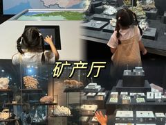 -烟台自然博物馆