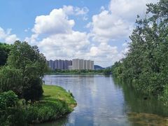 -洋湖国家湿地公园