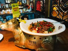 -炊烟小炒黄牛肉(东庆街店)