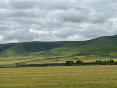 -祁连山草原