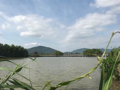 -芒洲湿地公园