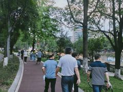 -成都市活水公园