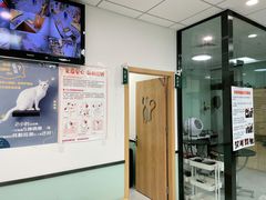 -中农大我爱我爱动物医院·核磁CT·猫病·24小时夜诊中心(石佛营店)