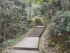 -桃花岭景区