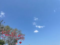 -深圳湾公园(南山区)