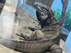 -石家庄市动物园