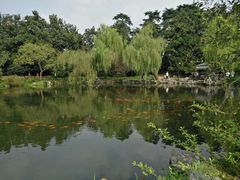 -西湖外事游船(花港观鱼码头)