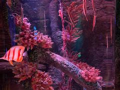 -沈阳海洋探索中心