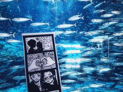 -大连老虎滩海洋公园