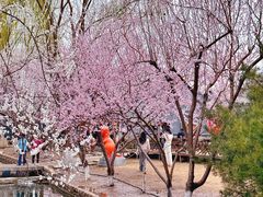 -三里河公园
