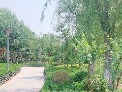 -大兴滨河森林公园