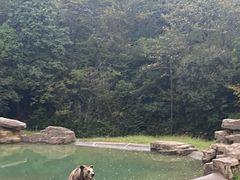 -杭州野生动物世界