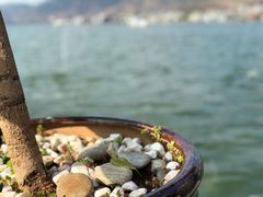 -海韵人家.海景花园经典云南菜(双廊店)