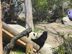 -青藏高原野生动物园