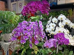 -何兮花店·气球派对鲜花店(马桥银春路万科城店)