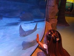 -沈阳海洋探索中心