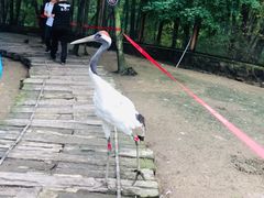 -哈尔滨北方森林动物园