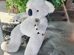 -了不起的考拉咖啡店(高新店)