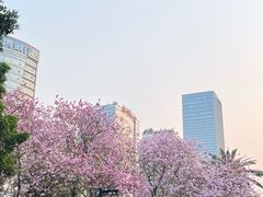 -南宁南湖公园