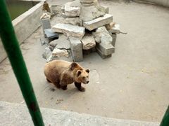 -保定市动物园