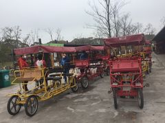 -上海长兴岛郊野公园