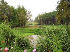 -桤木河湿地公园