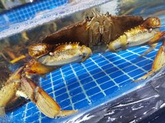 -舟山海鲜·江浙菜(银沙路店)