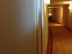 -南京维景国际大酒店(南京博物院店)