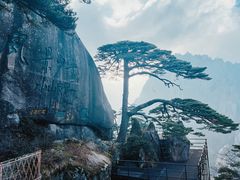 -黄山风景区