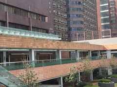 -香港大学