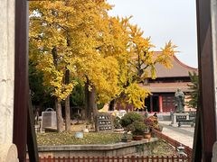 -苏州碑刻博物馆