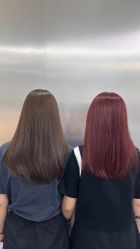 点击看大图 -Tloml salon