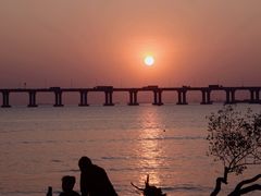 -宝安西湾红树林湿地公园