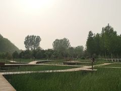-东郊湿地公园