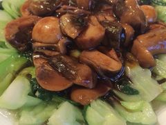 iphone_upload_pic-品悦酒店(三林古镇店)