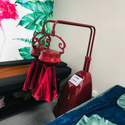 -苗塑堂减肥·艾灸