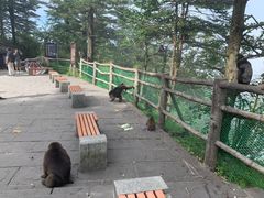 -峨眉山风景名胜区